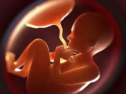 Baby small cheap in womb